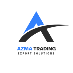 Blue & Grey Modern Delivery Solutions Logo